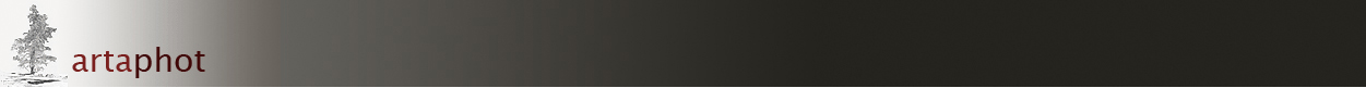 Test für artaphot.ch